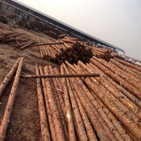 打桩木 建筑打桩木 桥梁打桩木 牧叶建材成都重庆生产加工