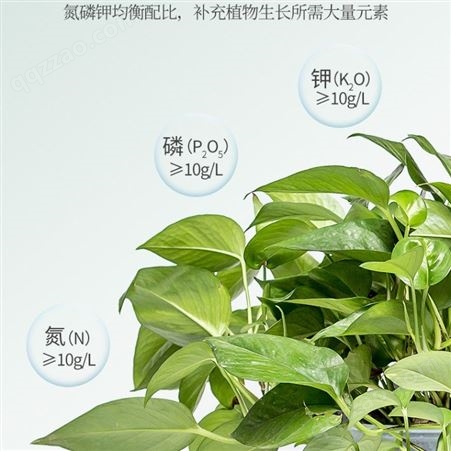 植物营养粉-通用型