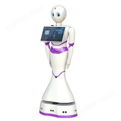锐曼机器人 商场机器人 商用服务机器人