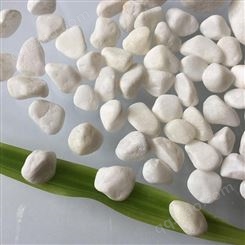 泽达批发白石子 机制鹅卵石 鱼缸盆栽铺面用白色小石头3-6mm