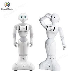 海南本地智能机器人租赁天租智能讲解机器人