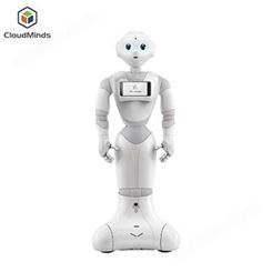 北京本地智能机器人租赁天租迎宾接待机器人