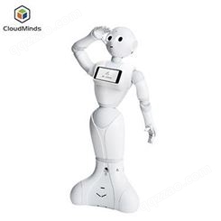 宁夏本地智能机器人租赁天租迎宾接待机器人