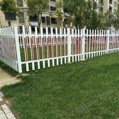 草坪园艺塑钢护栏 郑州柏斯格美丽