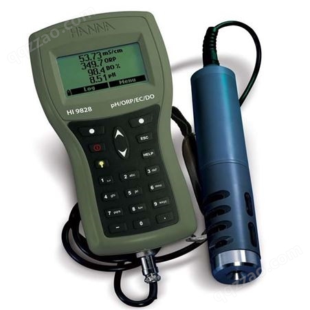 YSI手持式溶解氧测定仪DO200A 水质快速测定仪 环境监测水质测定仪