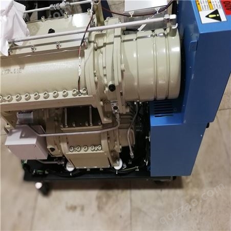 EBARA EV-A10-2 Dry Pump干泵