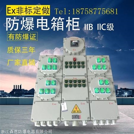 BXMD52防爆配电箱IIB级II类防爆箱订制