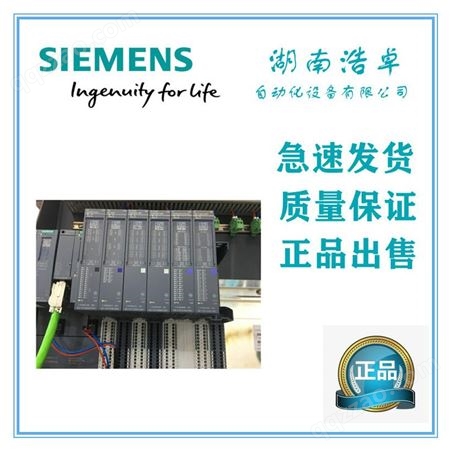 西门子PLC模块 6ES7590-8AA00-0AA0 S7-1500 PS/PM供电模板连接头