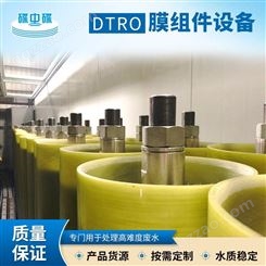 碟中碟垃圾渗滤液处理-dtro膜片-反渗透膜片-污水处理设备定制公司