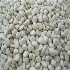 厂家长期供应出口级蒜米 速冻蒜米出口