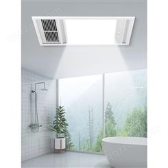 浴霸 吊顶嵌入式浴霸卫生间家用 双电机风暖排气扇 三雄极光