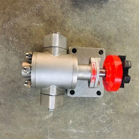 威肯佳支持定制不锈钢齿轮油泵 大流量齿轮泵 异形齿轮泵