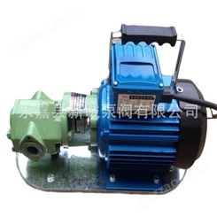 （厂价直销）齿轮油泵齿轮泵手提式齿轮输油泵电动抽油泵