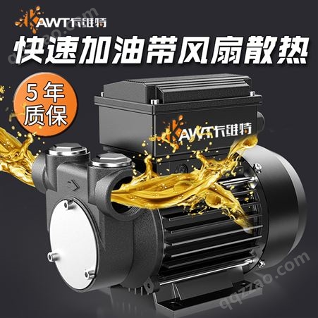 卡维特12v24v220v电动抽油泵大功率柴油抽油机大流量加油机小型