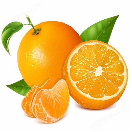 椰果罐头 橘子罐头 葡萄罐头  玉泉水果罐头批发