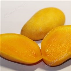 推荐香精 京顿食品添加剂 水果类芒果味香精