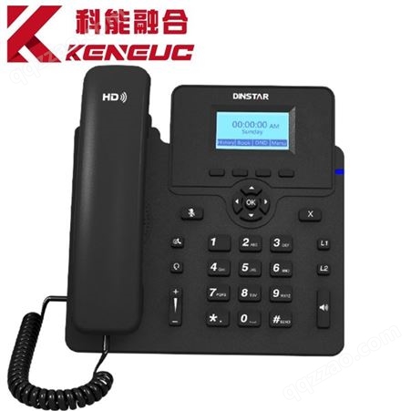 C61S/P 非可视话机 机 对讲电话机 内部电话机