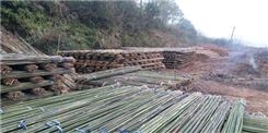 豆瓜扦批发 2米-4米竹扦 搭竹架竹架材厂家供应