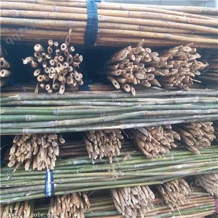 1米-3米竹架条 2米-3米竹竿尖 4米-6米香菇架竹杆 7米-9米大棚竹