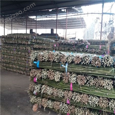 厂家供应2.5米、3米菜架竹 菜架竿 竹架条