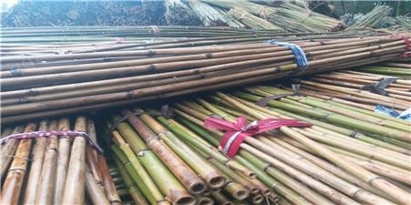 豆瓜扦批发 2米-4米竹扦 搭竹架竹架材厂家供应