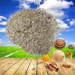 天然贝壳粉  贝壳粉 94度超白贝壳粉 内外墙涂料用贝壳粉