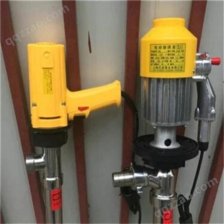 加油泵 手持电动抽油泵 SR220420不锈钢电动抽油泵货号H0401