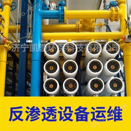 反渗透设备运行维护 确保出水合格 废水处理工业超纯水大产量机组运维 凯璇