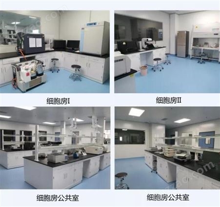 白龙马实验室 细胞房规划平面设计 施工台柜安装