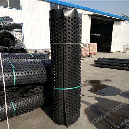 豪赛生产HDPE塑料排水板路面地基市政工程滤水板