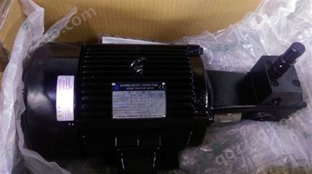 韩国亚隆输油泵ATP-210HAVB 耐腐蚀耐高温润滑泵大流量齿轮泵