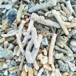  珊瑚砂水处理 鱼缸水族馆造景 净化水质用珊瑚石