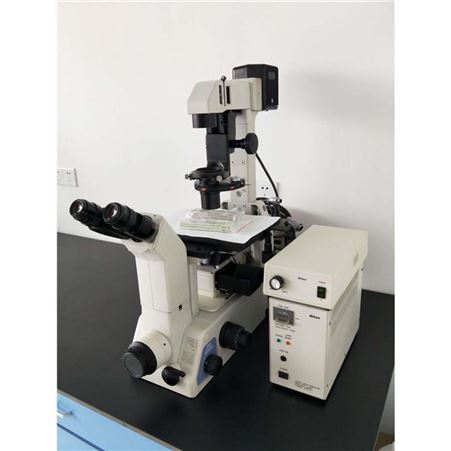 扫描电子显微镜 扬州求购工具金相显微镜